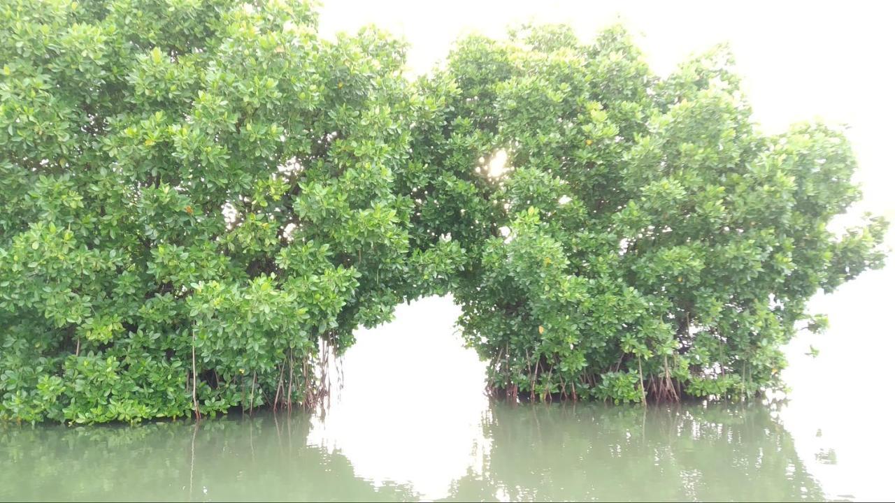 Greenchromide Homestays Mundrothuruth المظهر الخارجي الصورة